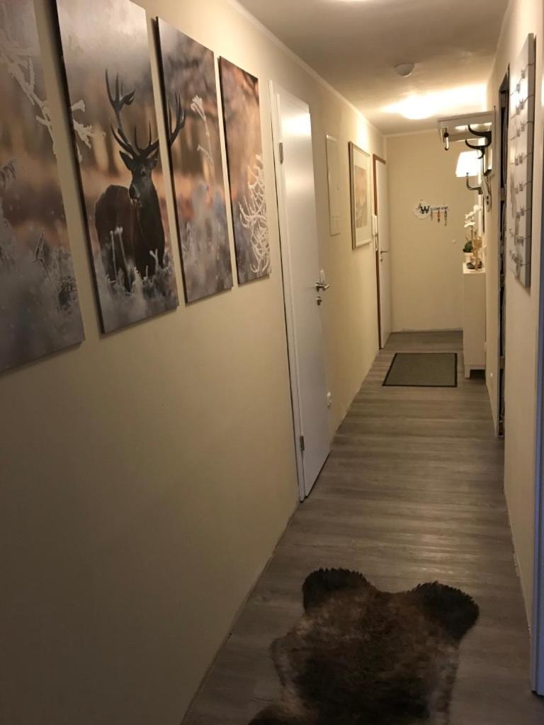 Wurmbergtraum Celina In Braunlage 4 Sterne Zertifiziert Vom Dtv Inklusive Waeschepakete Apartment Ngoại thất bức ảnh