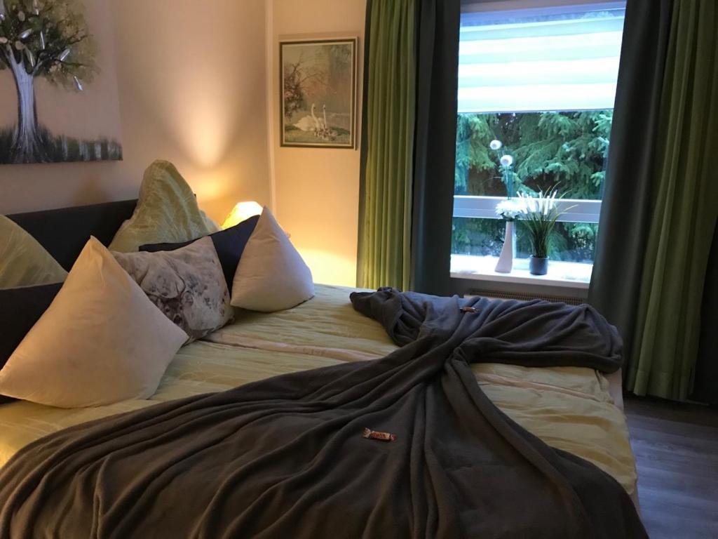 Wurmbergtraum Celina In Braunlage 4 Sterne Zertifiziert Vom Dtv Inklusive Waeschepakete Apartment Ngoại thất bức ảnh